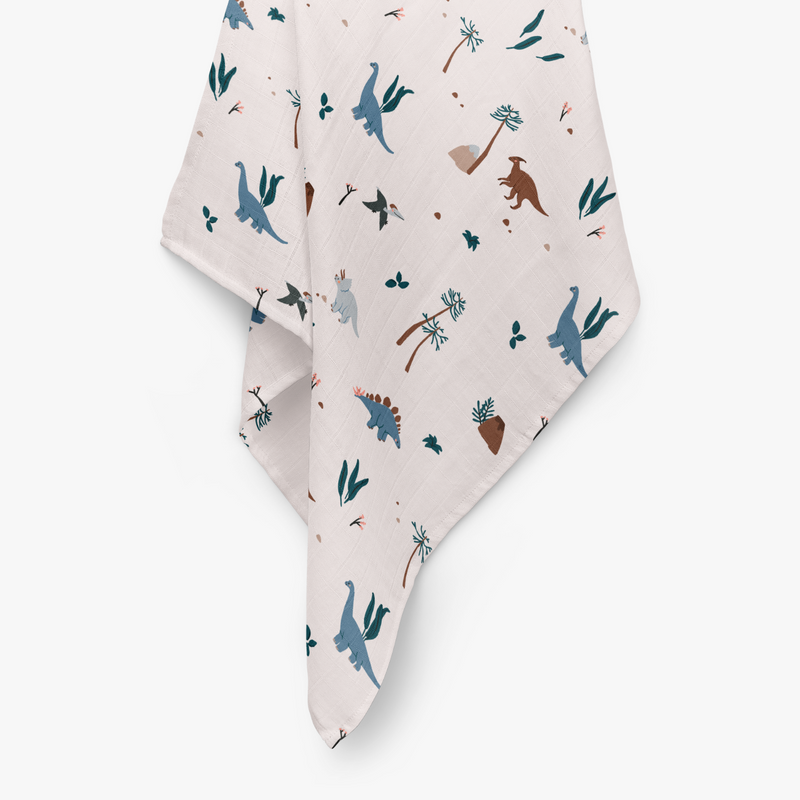 Dinosaur store muslin blanket