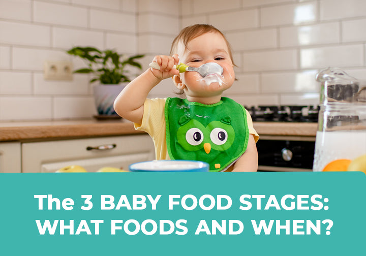 https://bubba-boo.com/cdn/shop/articles/The_3_baby_food_stages-_What_foods_and_when_1024x.jpg?v=1664365256