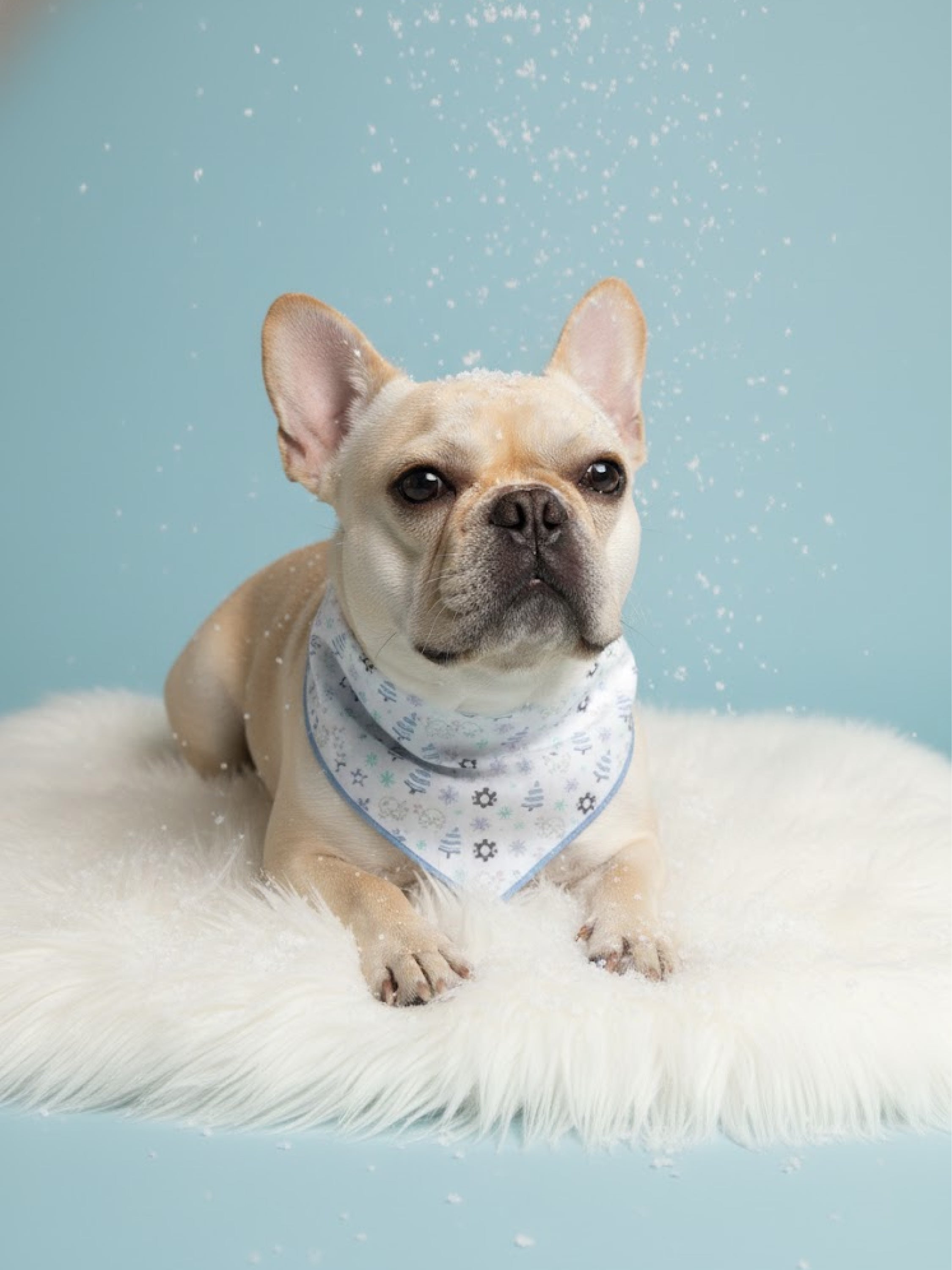 Snowy Snuggle Squad Dog Bandana